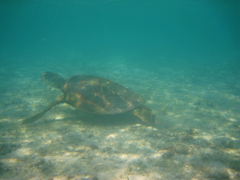 Про Мальдивы с двумя детьми - Часть 2 - Palm Beach Resort