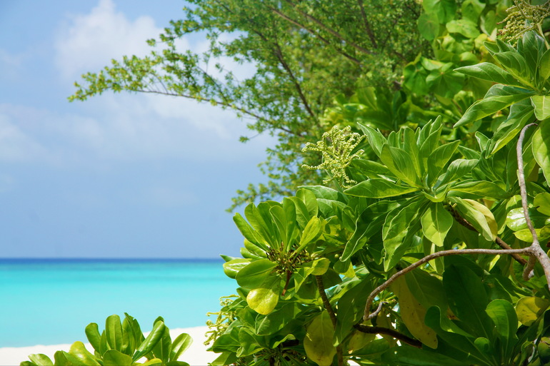 Про Мальдивы с двумя маленькими детьми