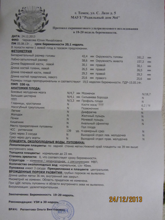 Была на втором УЗИ.. моральное неудовлетворение..(