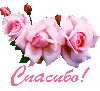4303ffda90f755f67b2a690fad1aea98.gif