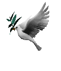 e45913632ea24fb7aa66970c83621f7b.gif