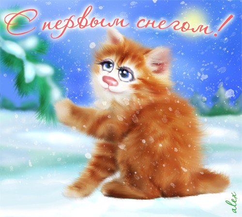 Девятый этап ВД!!!