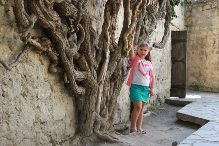 тур по Крыму. Продолжение 2