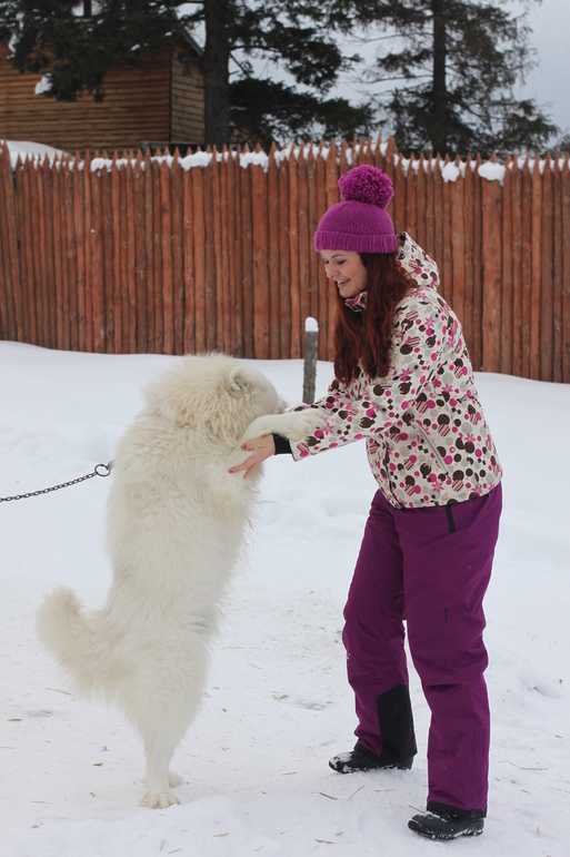 8d96acd35fc15a763e7a297ed22c2f27.jpg
