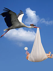 5681de18ed16a090f72415d395f802b6.jpg
