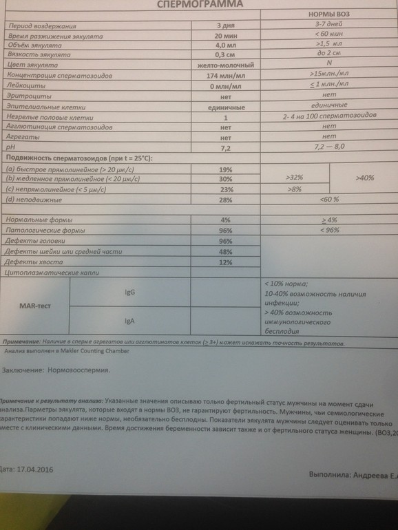 Нормоспермия. Спермограмма нормозооспермия. Астенотератозооспермия. Нормозооспермия бактерии заключение спермограммы. Лейкоцитоастенотератозооспермия.