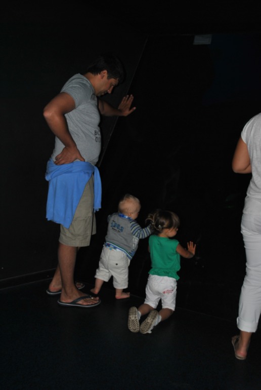 Аквариум в Монпелье!