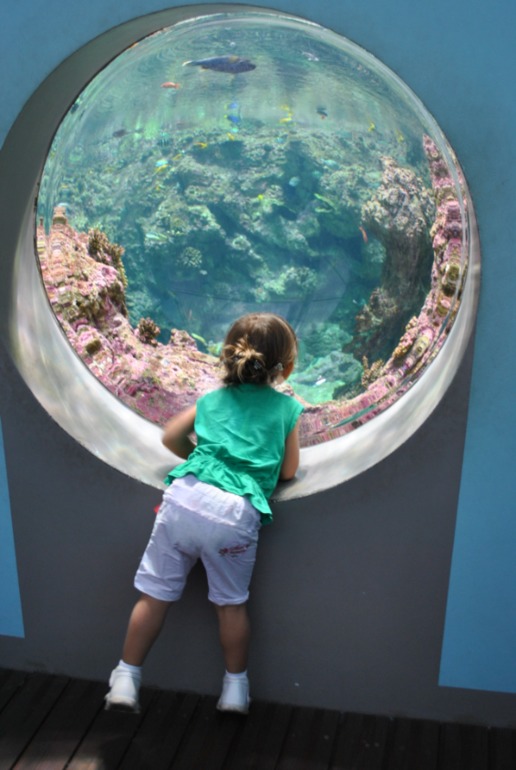 Аквариум в Монпелье!