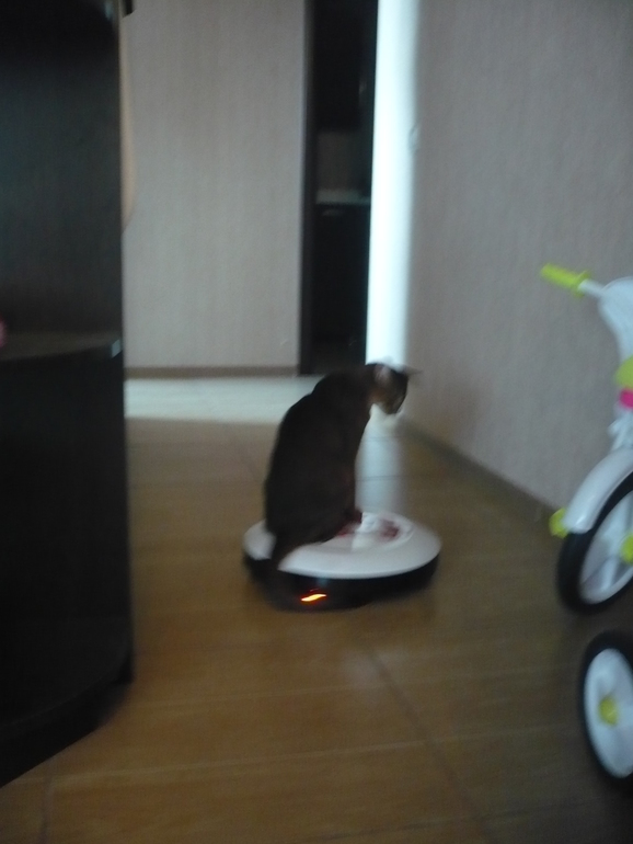 Тимофей Александрович :)