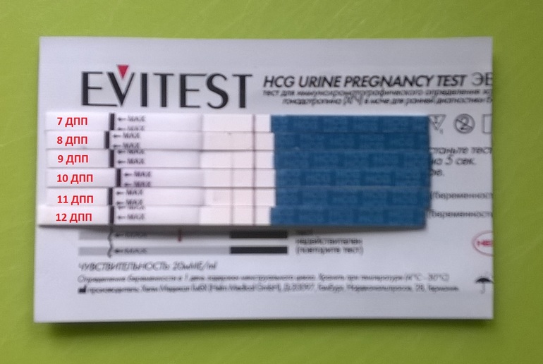 9 дпп тест отрицательный. Тест эвитест на беременность на 13 день. Тесты после переноса. Тест на 5 ДПП пятидневок крио. Тесты после подсадки эмбрионов.