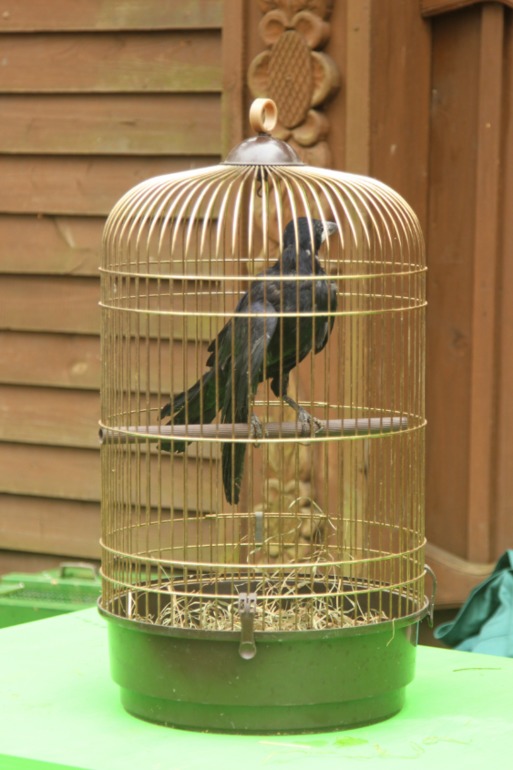 ЭПЦ «Царская пасека»