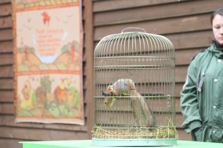 ЭПЦ «Царская пасека»