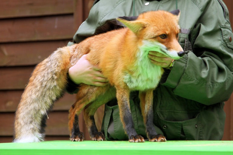 ЭПЦ «Царская пасека»