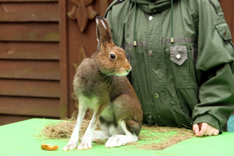 ЭПЦ «Царская пасека»