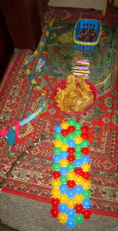 И снова путешествие с Дашей