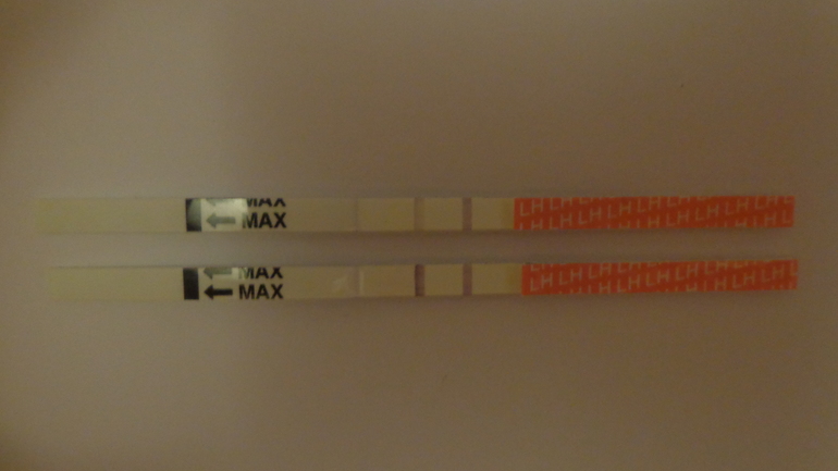 cd17ee30f89e20a2d818761965bab893.jpg