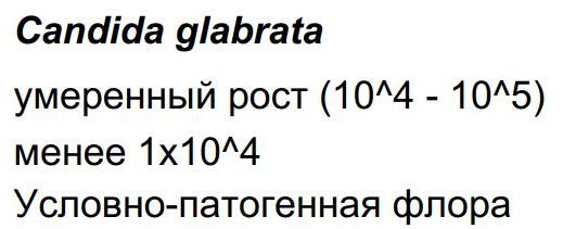 Грибковая инфекция горла: причины и лечение | Оралсепт