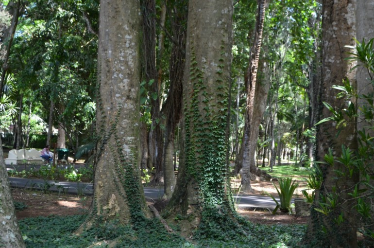 о. Маврикий, отель Constance Belle Mare Plage 5*