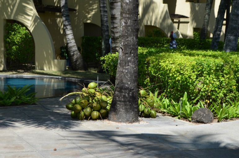 о. Маврикий, отель Constance Belle Mare Plage 5*