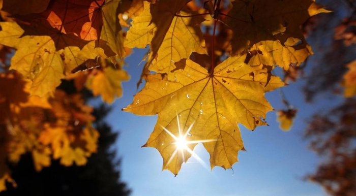 Долгожданный фотоконкурс!