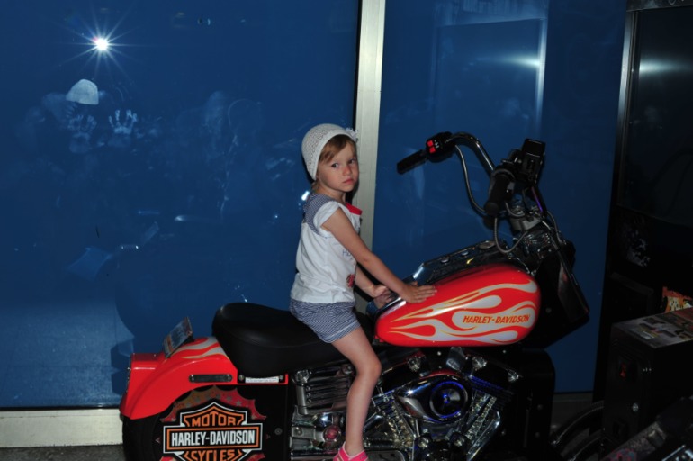 Отдых в Турции. Риксос Сангейт