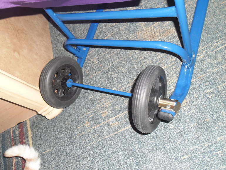 Наши саночки