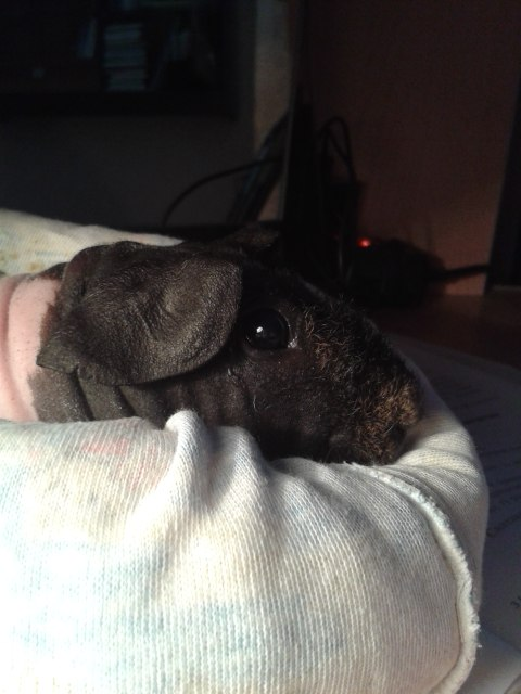 Наша Люля ))