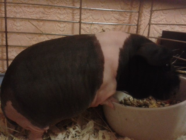 Наша Люля ))