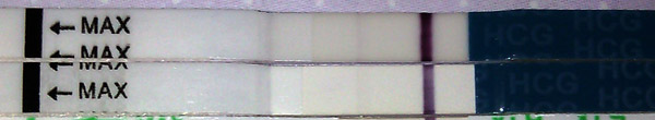 60b6c23abaa5b5ad5a5ee69efc24f793.jpg