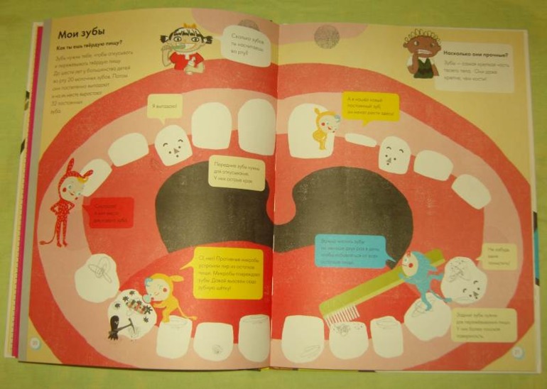 Мое тело.От макушки до пяток