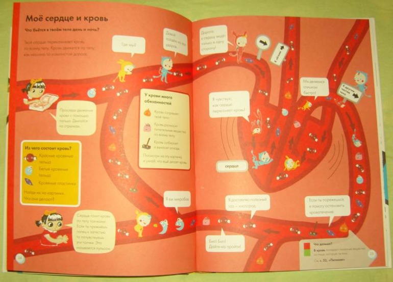 Мое тело.От макушки до пяток