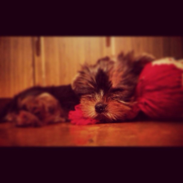 Знакомьтесь!