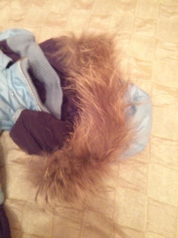 Зимний комбинезон для мальчика 80-86 см