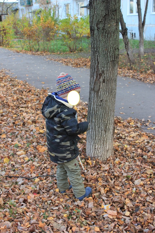 Покажу нашу парку;)