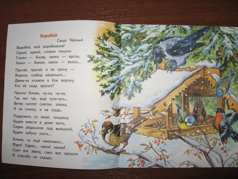 стихотворение воробей черный. стихотворение воробей саша черный. саша черный воробей воробьишка. стих воробей саша чёрный. саша черный воробей воробьишка.
