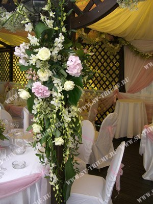 Организация Свадьбы