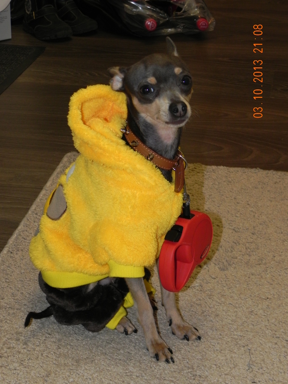 Мой модный мальчик