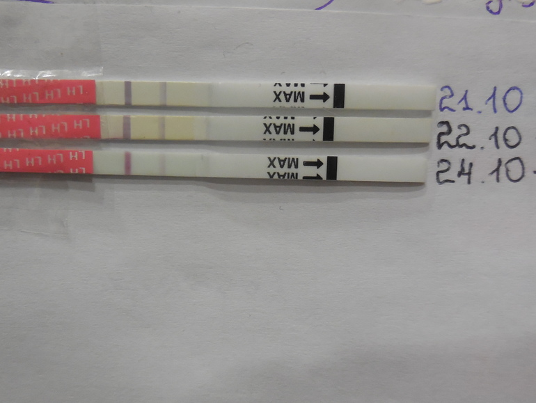 Девочки,посмотрите,пожалуйста)