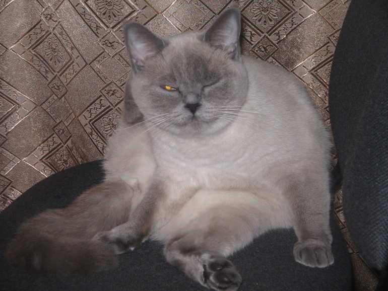 Просто фото!!!