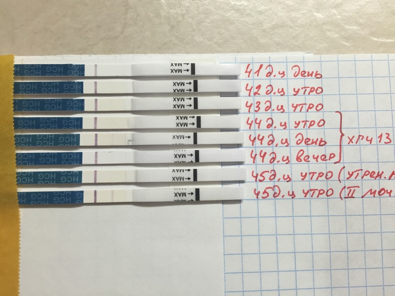 Положительный хгч при отрицательном тесте. Тест полоски на ХГЧ. Тесты на беременность по дням. ХГЧ И полоски на тесте. Отрицательный тест на беременность ХГЧ.