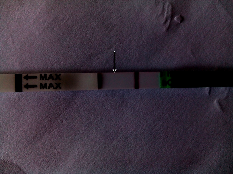 43fe5dc1c619cc48f4bcc547f6a01cec.jpg
