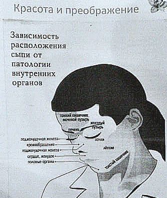 9245bf67227f3c75bf8a21c74ff53f67.jpg