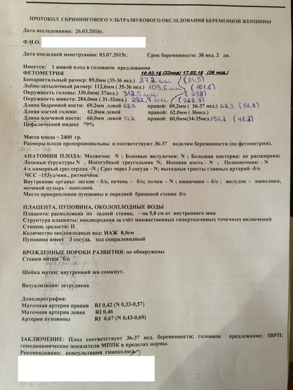 Фото результатов узи беременности Не правильный замер или? окружность живота УЗИ на 38 недели - 15 ответов форум B