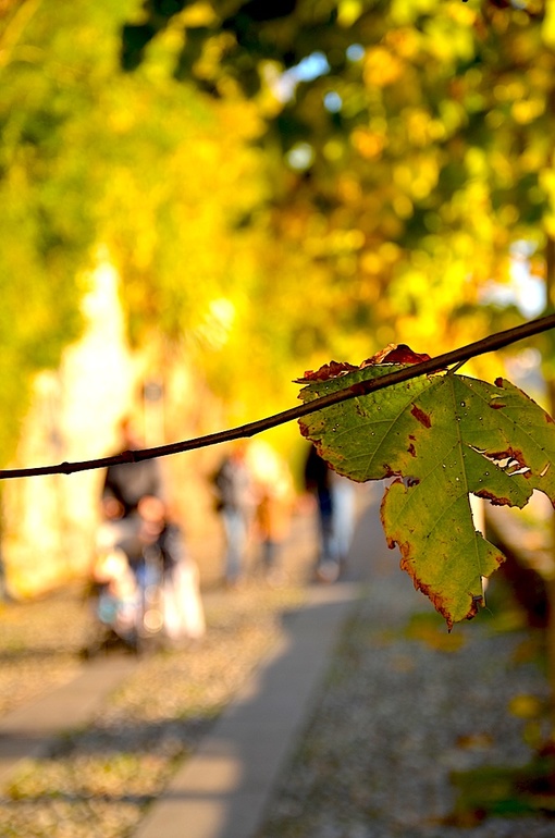 Oзеро Орта (Италия). Ноябрьские прогулки.