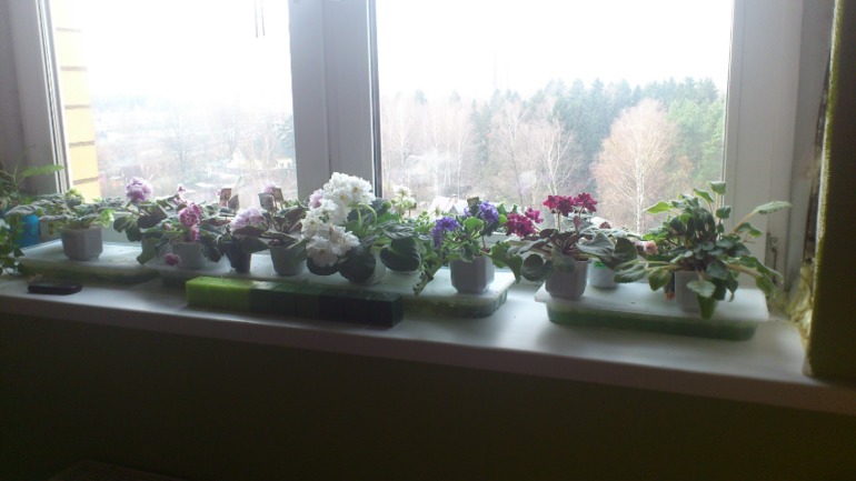 Ну и я похвастаюсь))