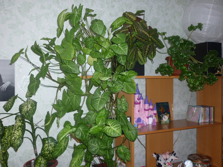 5fee7a9ad511c2c56035b63f8d3c54f1.jpg
