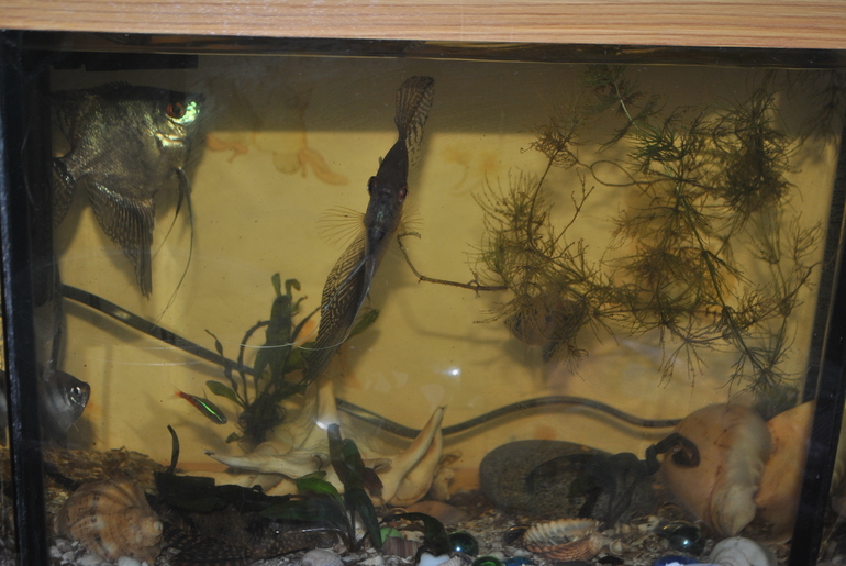 Продам аквариум! Белгород