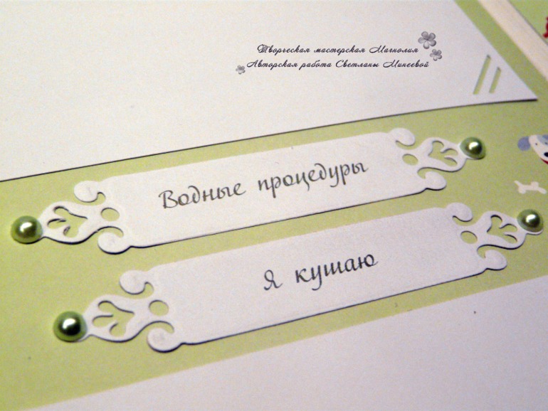 Большой фотоальбом для Матвея и папка для документов