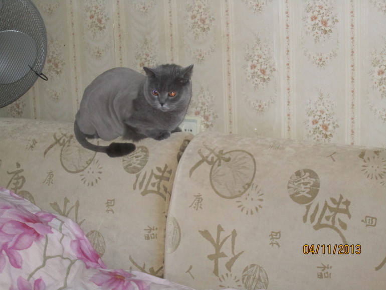 Ириска... 2 недели)