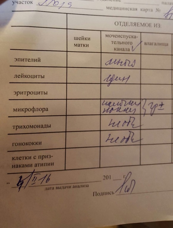 Сдать анализ на микрофлору. Анализ на флору. Анализ исследование мазка. Исследование мазков на флору. Анализ мазок на флору.